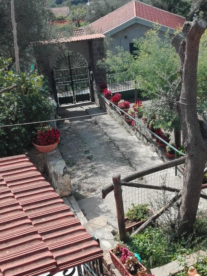 לינה וארוחת בוקר מסה לוברנסה Casa Lorella מראה חיצוני תמונה